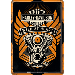 Metalowy mini szyld 15x10 cm Harley Wild at heart