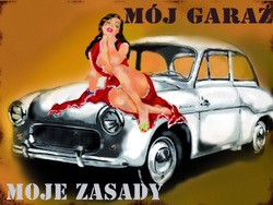 Metalowy plakat reklamowy szyld 40x30 cm Mój garaż moje zasady Królowa Polskich Szos