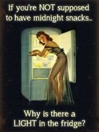 Dlaczego w lodówce mam światło Metalowy szyld tin sign 30x40 cm