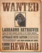 Metalowy plakat reklamowy blacha tin sign USA Poszukiwany pies myśliwski labrador retriever