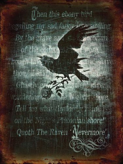 Czarny Kruk Metalowy szyld tin sign 30x40 cm 