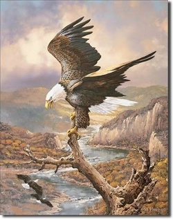 Metalowy plakat reklamowy blacha tin sign USA Kolorado. Kraina Orła.